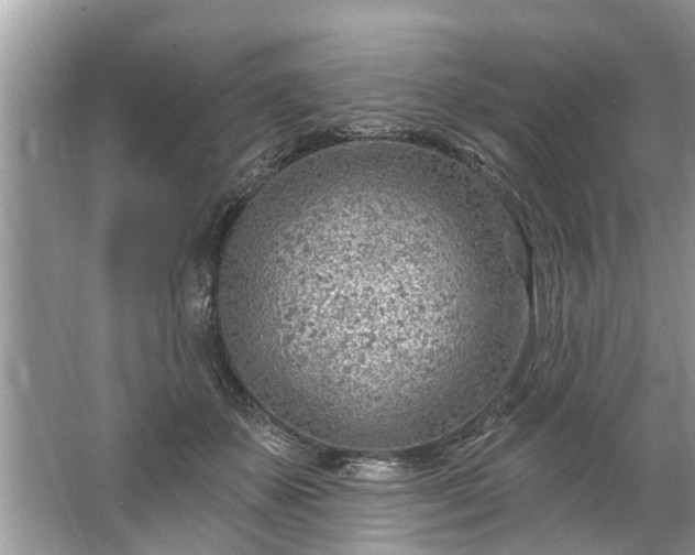 X0000067530507200604150229