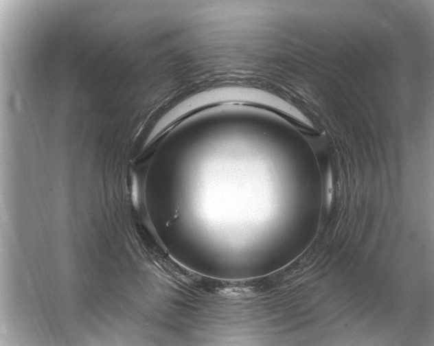 X0000067530508200604150229