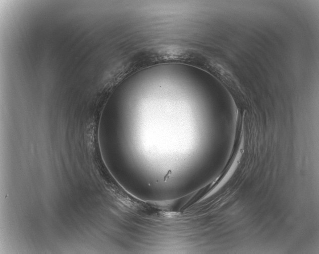 X0000067530509200604150229