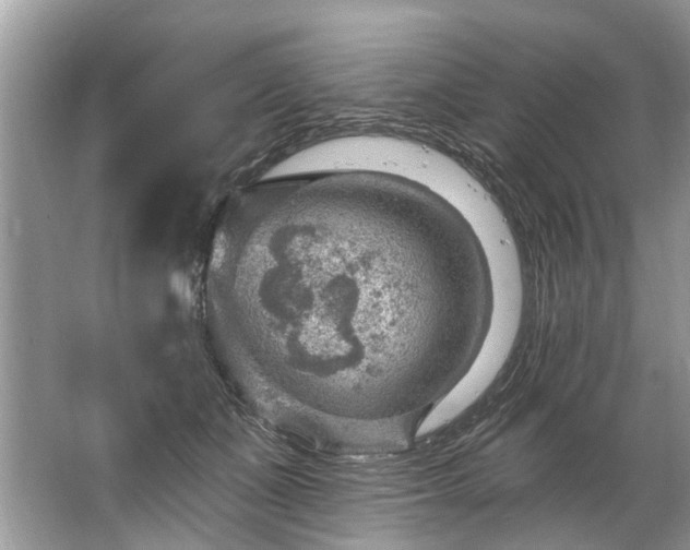 X0000067530511200604150229