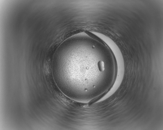 X0000067530515200604150229