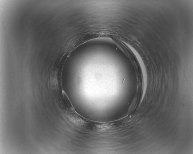 X0000067530516200604150229