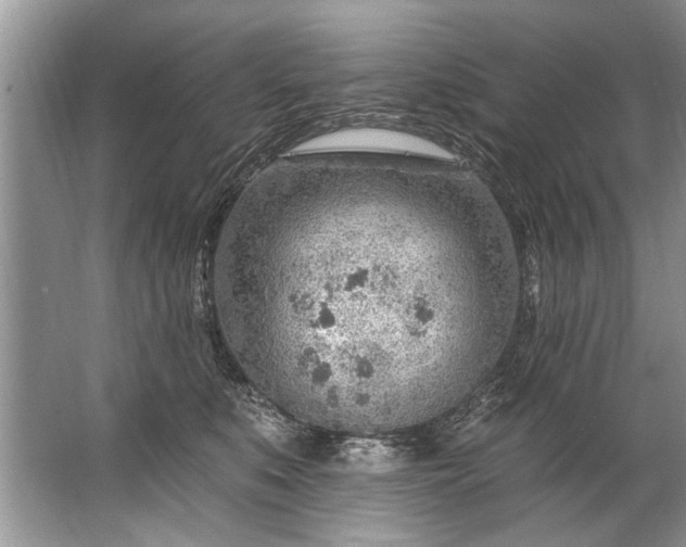 X0000067530519200604150229