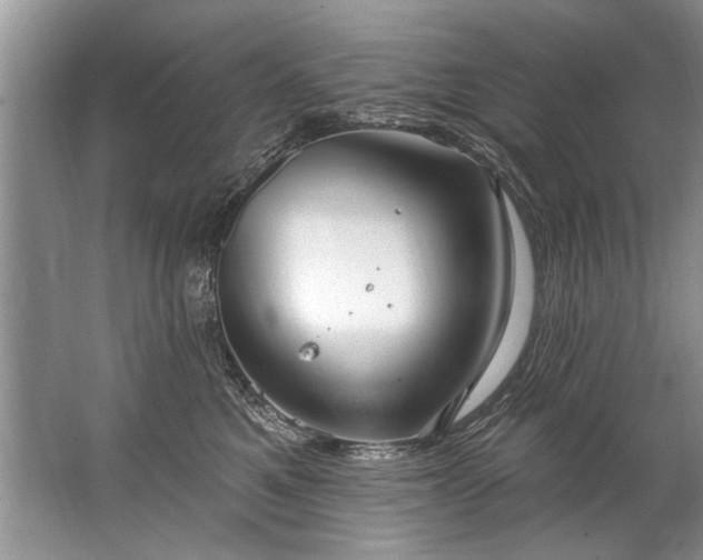 X0000067530521200604150229