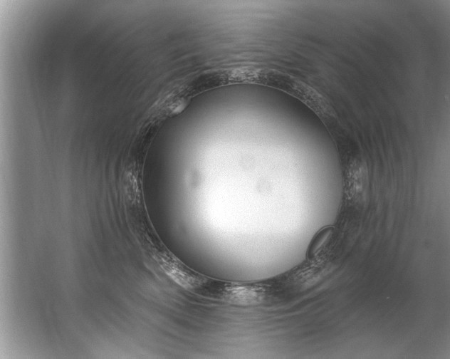 X0000067530522200604150229