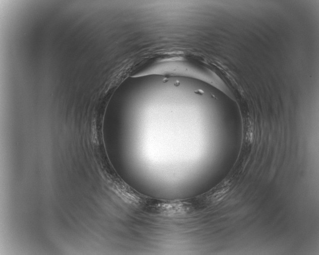 X0000067530524200604150229