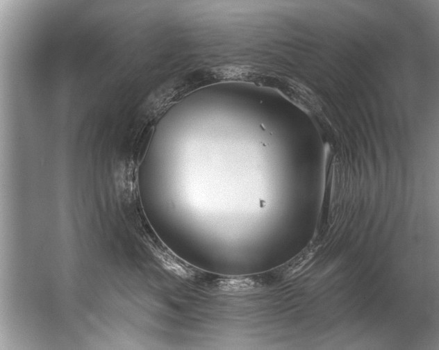 X0000067530525200604150229