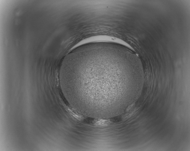 X0000067530527200604150229