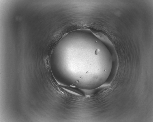 X0000067530528200604150229