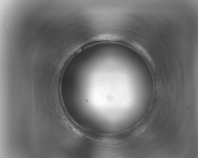 X0000067530529200604150228