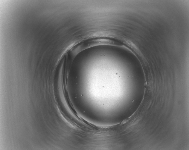 X0000067530530200604150228