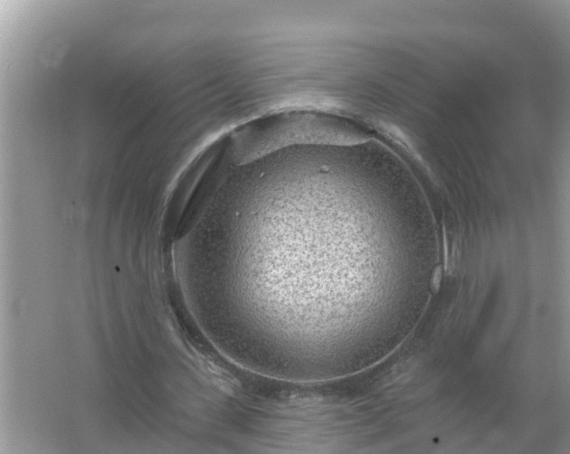 X0000067530531200604150228