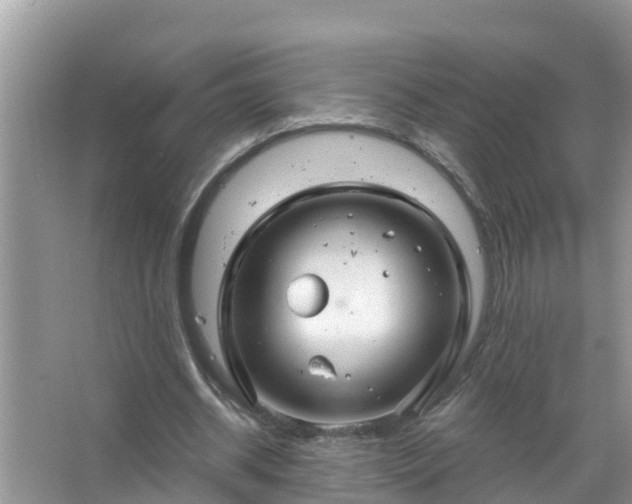 X0000067530534200604150228