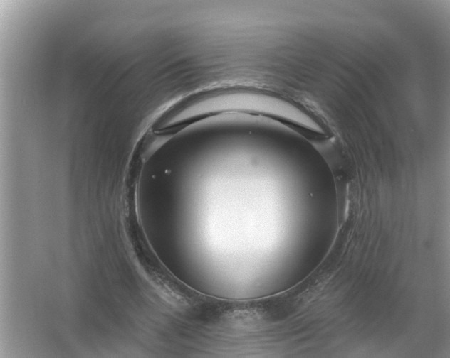 X0000067530536200604150228