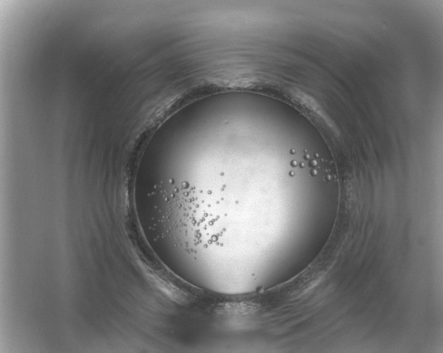 X0000067530541200604150228