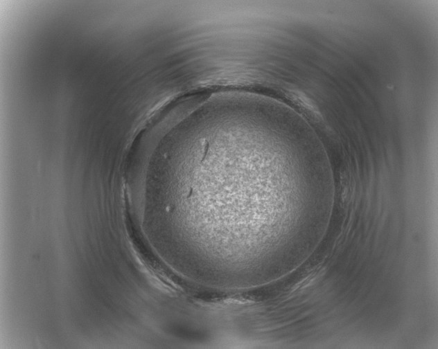 X0000067530542200604150228