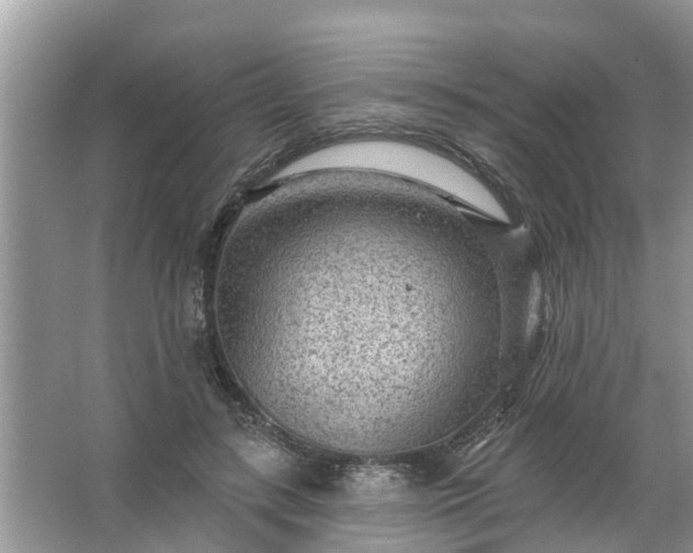 X0000067530547200604150228