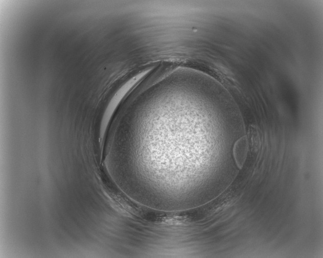 X0000067530550200604150228