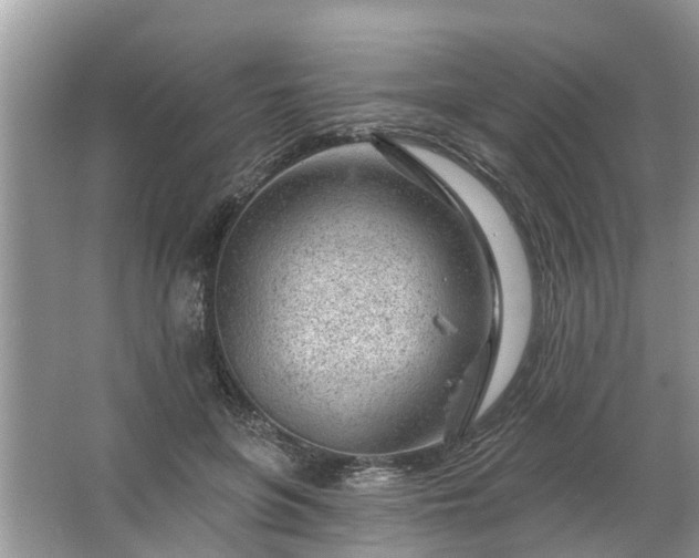 X0000067530551200604150228