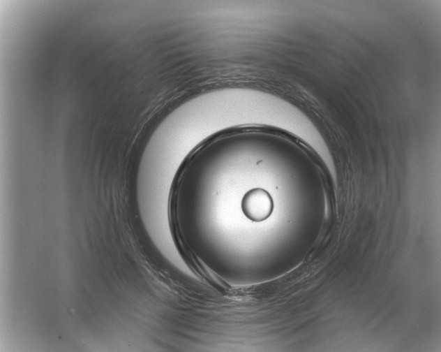 X0000067530552200604150228