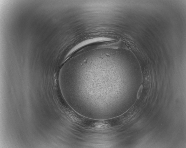 X0000067530555200604150228