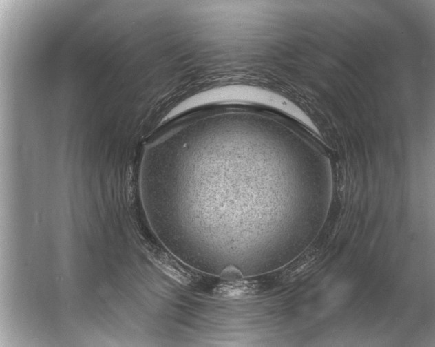 X0000067530563200604150228