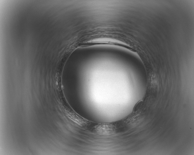 X0000067530567200604150228