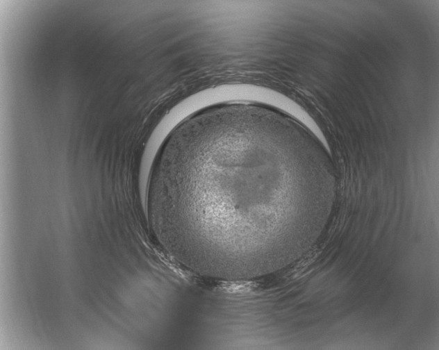 X0000067530569200604150228