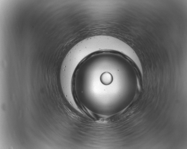 X0000067530570200604150228