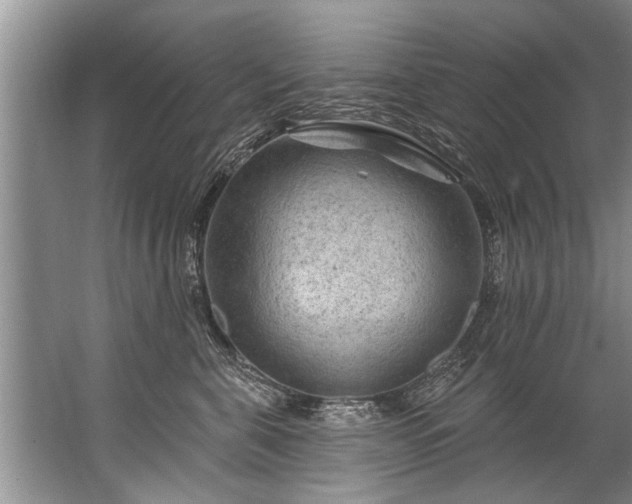 X0000067530571200604150228