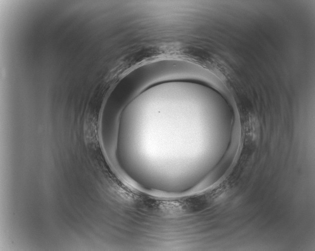 X0000067530572200604150228