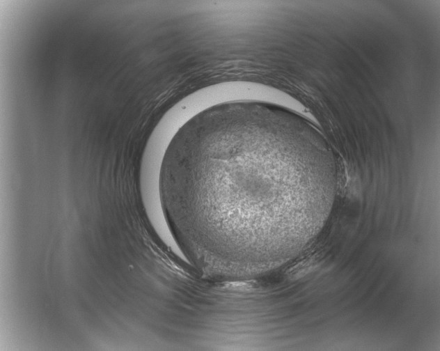 X0000067530573200604150229