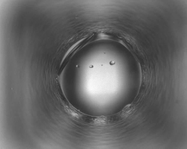 X0000067530574200604150229