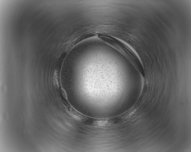 X0000067530575200604150229