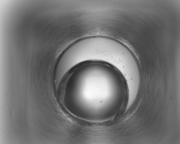 X0000067530577200604150228