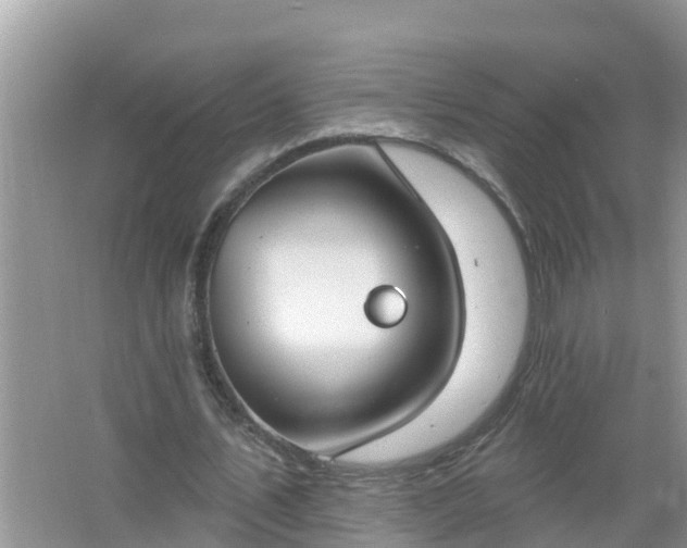 X0000067530579200604150228