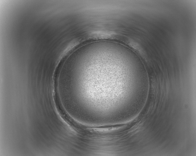 X0000067530582200604150228