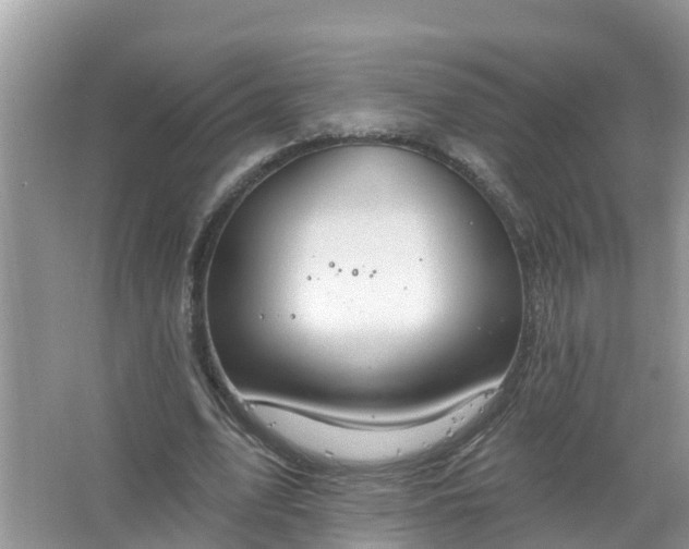 X0000067530583200604150228