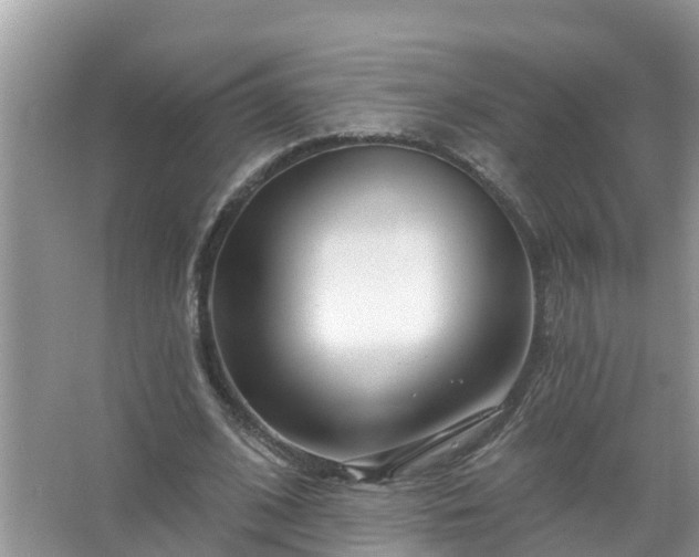 X0000067530584200604150228