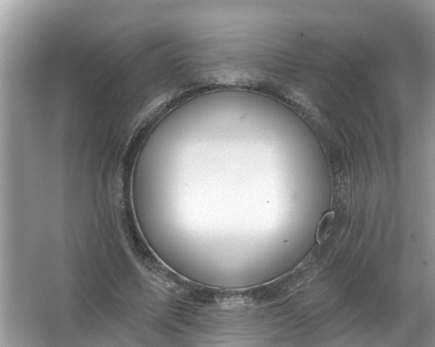 X0000067530587200604150228