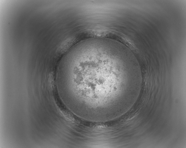 X0000067530594200604150227