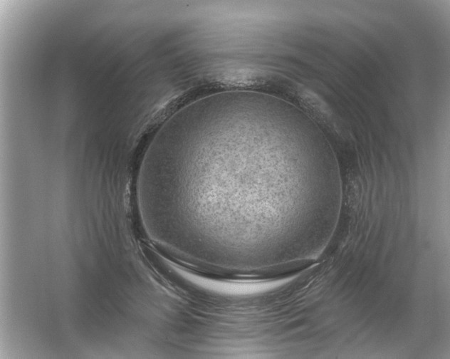 X0000067530596200604150227