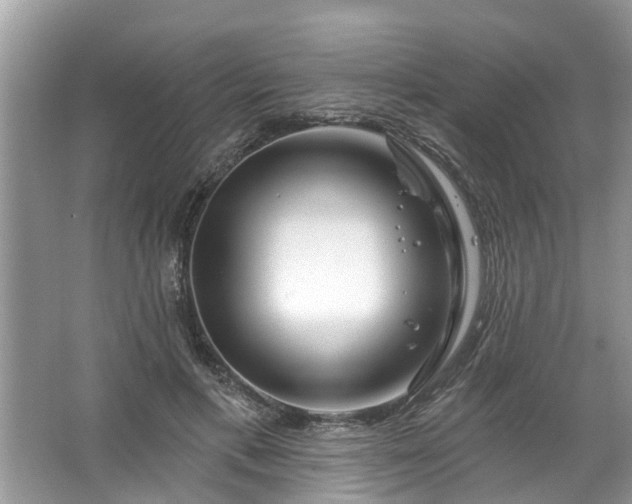 X0000067530597200604150227