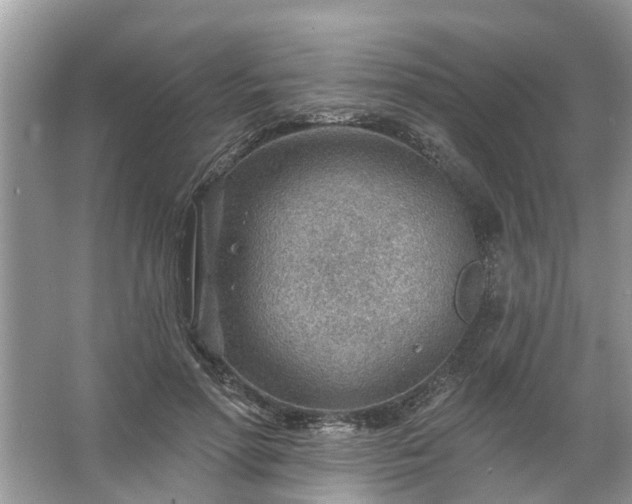 X0000067530598200604150227