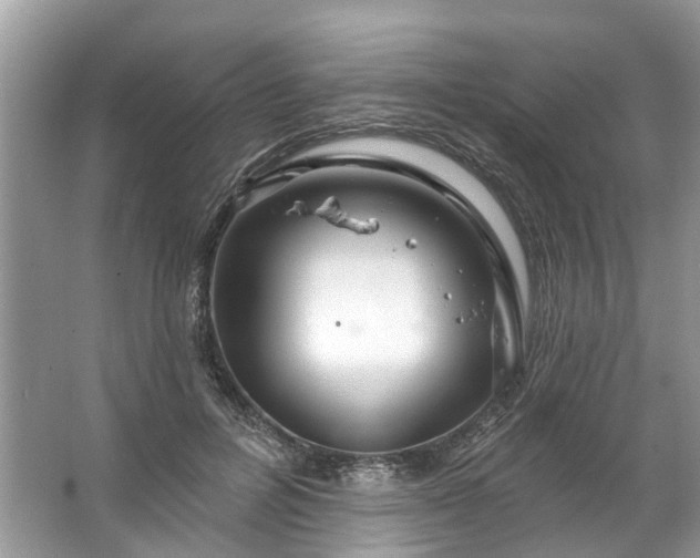 X0000067530600200604150227