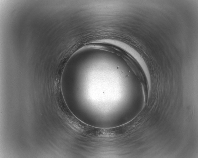 X0000067530601200604150227