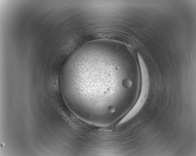 X0000067530602200604150227