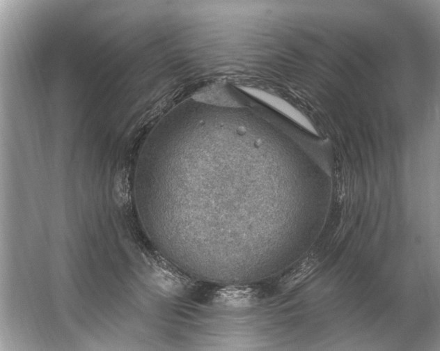 X0000067530606200604150227