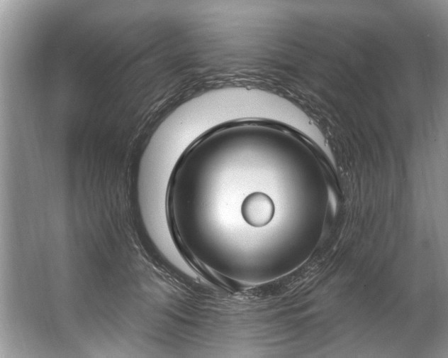 X0000067530608200604150227