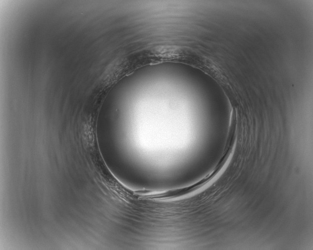 X0000067530609200604150227